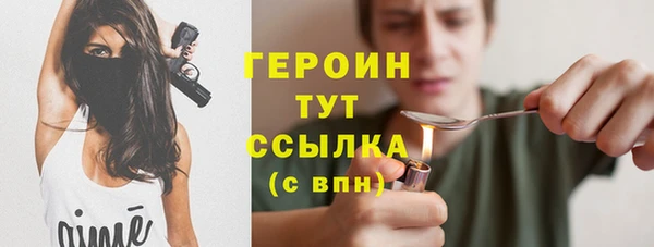 индика Мегион