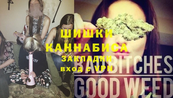 хмурый Михайловск