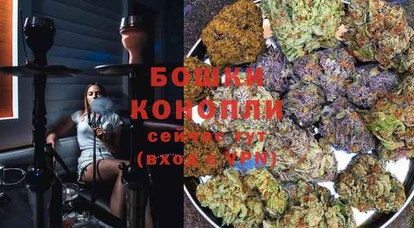 ECSTASY Михайловка