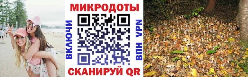 Галлюциногенные грибы мицелий  Хасавюрт 
