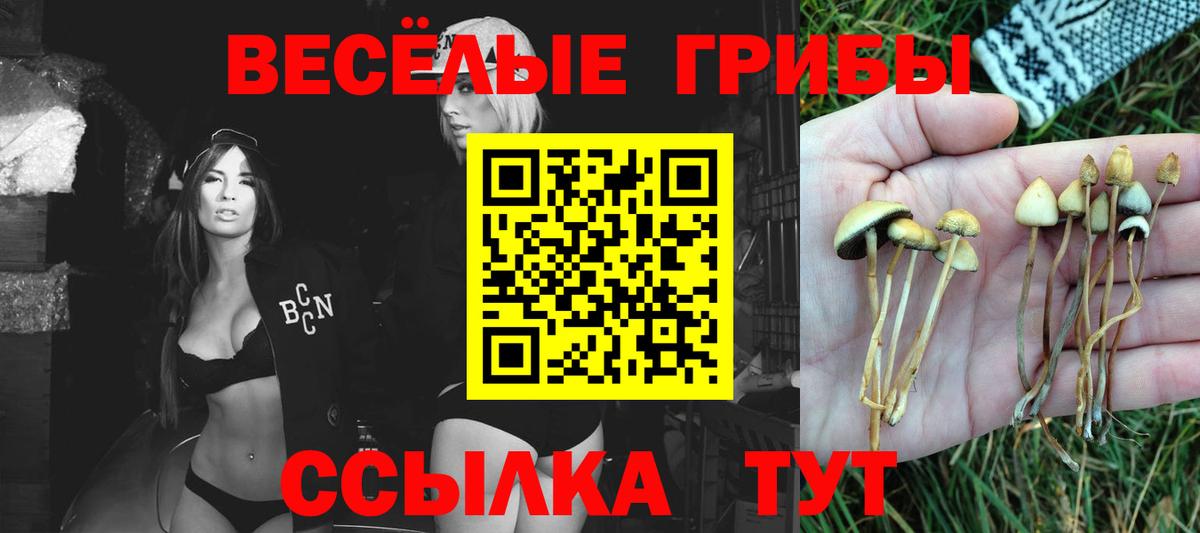 Псилоцибиновые грибы Magic Shrooms Хасавюрт