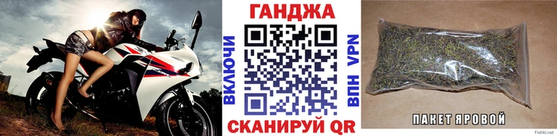 Шишки марихуана конопля  Хасавюрт 